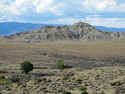 Coulee where the buffalo bones were discovered.